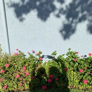 Meet your Posher, Sofia